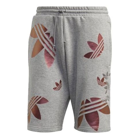 adidas originals Zeno Big Trefoil Logo Lacing Sports Shorts Gray GD0983